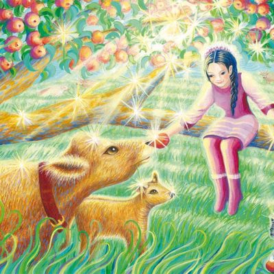 Apples Greeting Card
